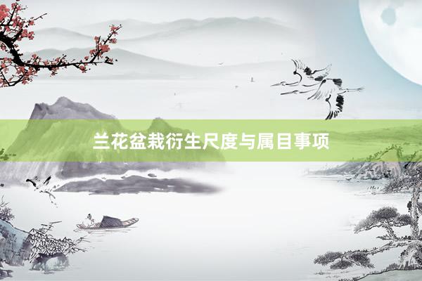 兰花盆栽衍生尺度与属目事项